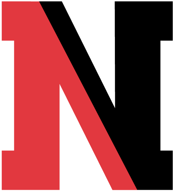 Northeastern Huskies 2004-2006 Alternate Logo DIY iron on transfer (heat transfer)